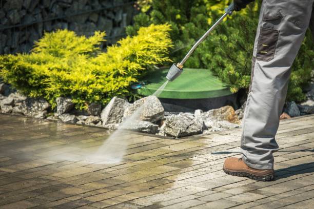 Best Warehouse Cleaning  in Wamego, KS