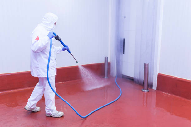 Best Oil Spill Cleanup  in Wamego, KS